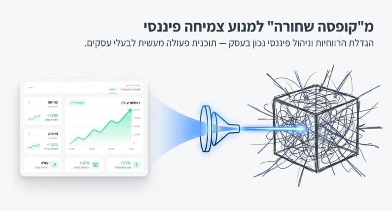 הגדלת הרוחיות בעסק 